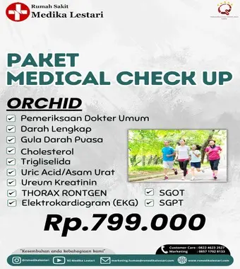 Paket Orchid